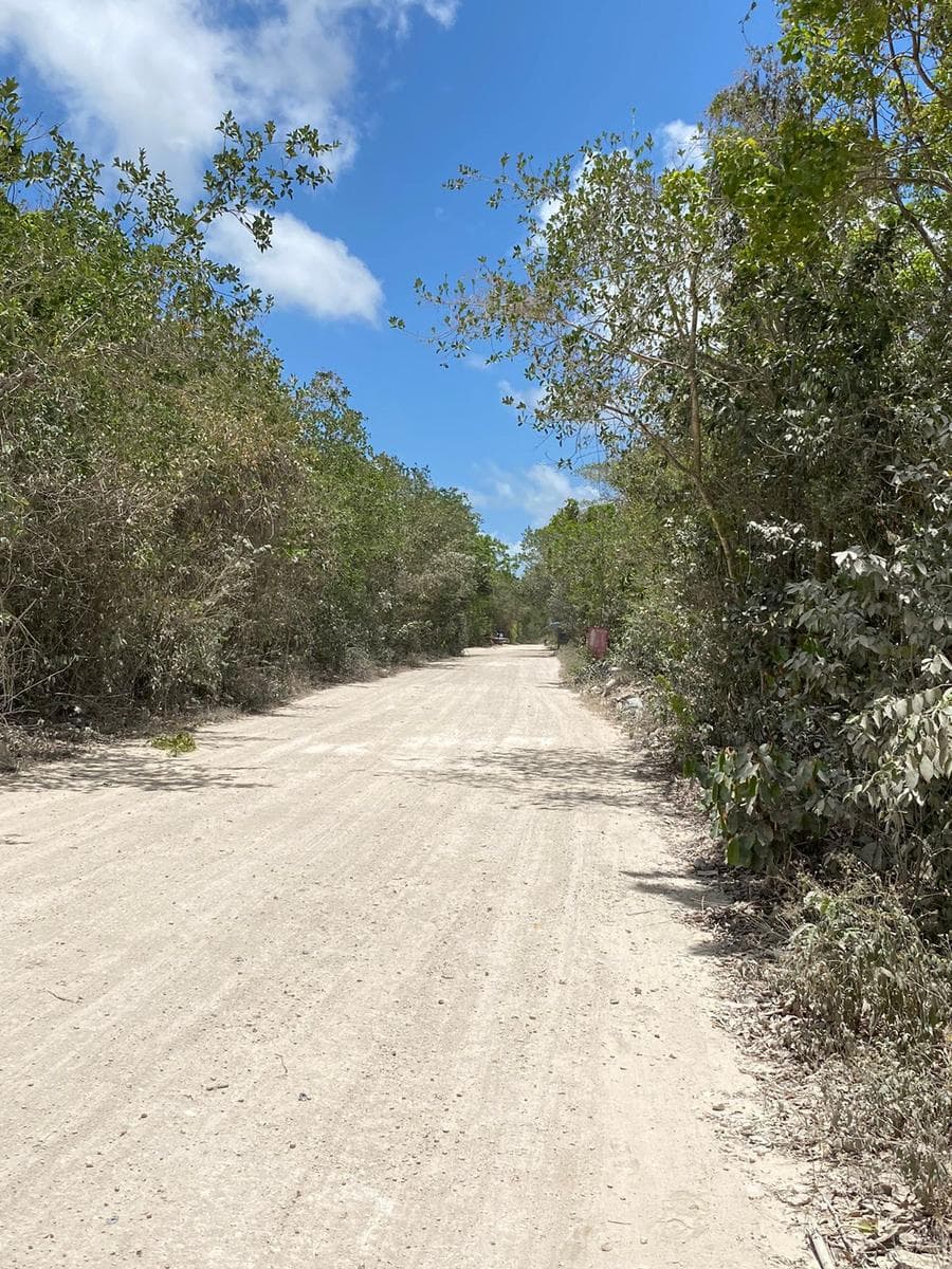 LAND FOR SALE IN CANCÚN BEHIND SUMACASA HUAYACÁN
