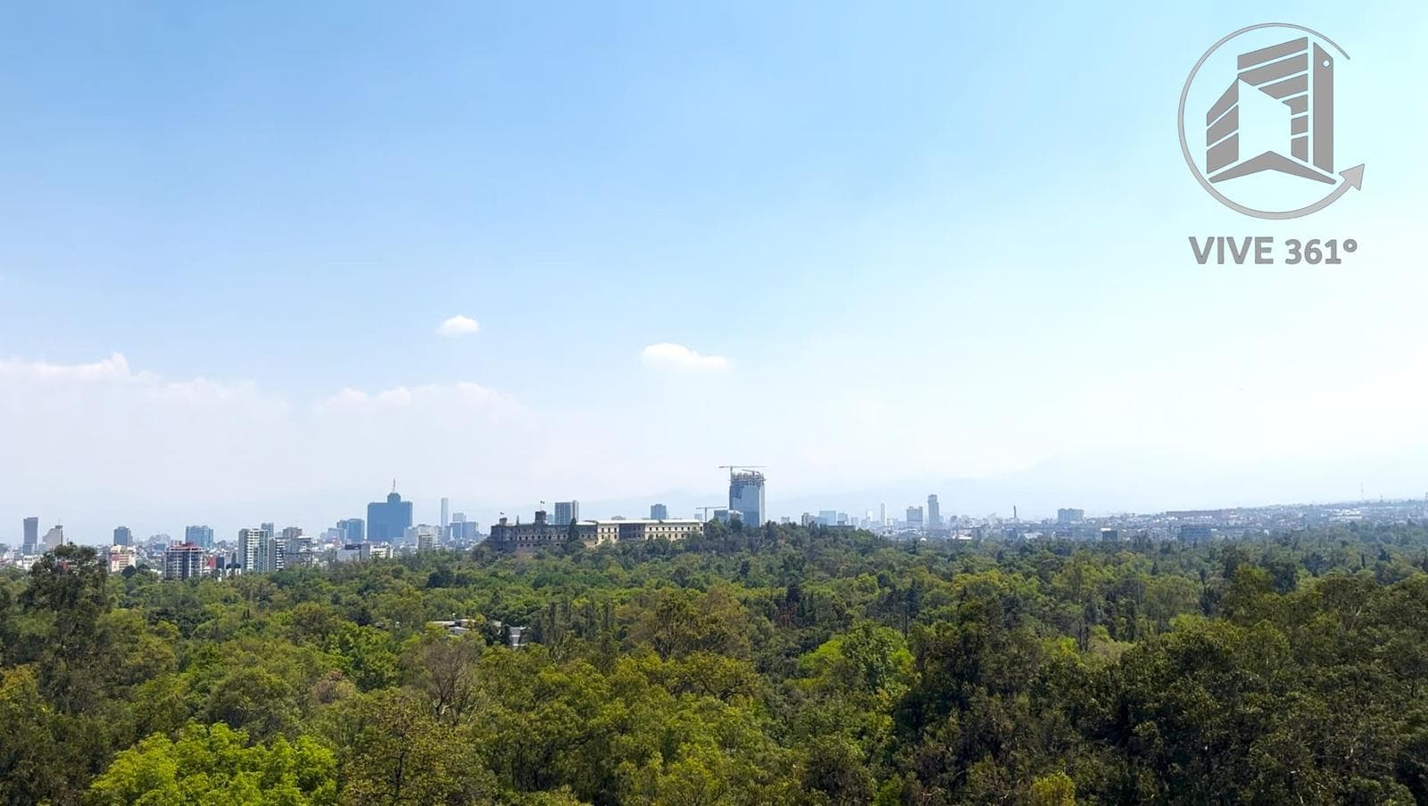 For Sale: Rubén Darío Polanco, Across from Chapultepec Forest, Mexico City