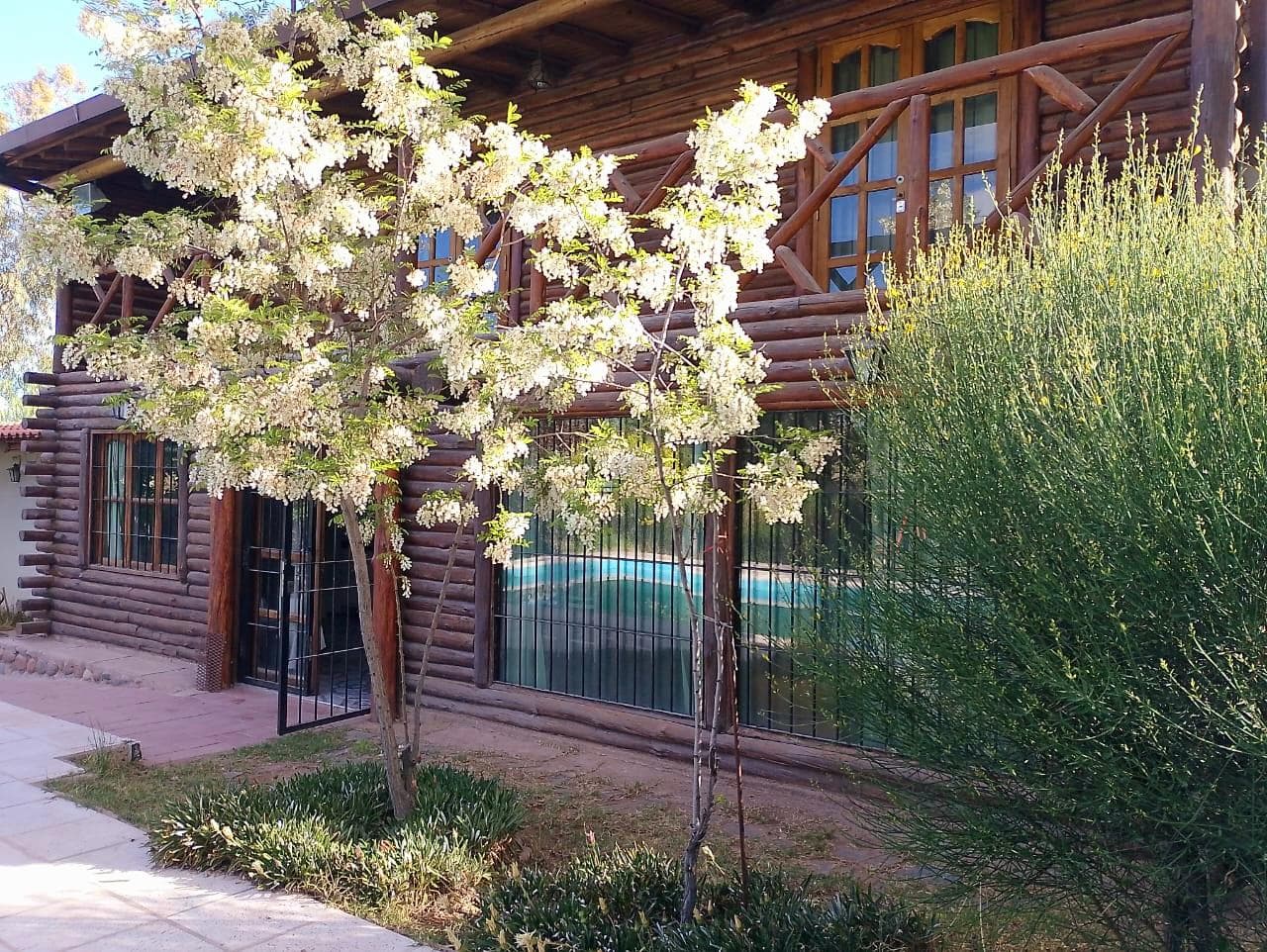 House with a Pool in Vistalba