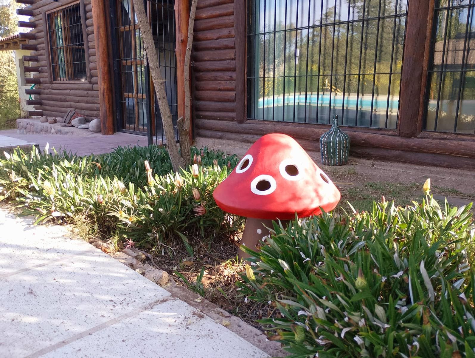 House with a Pool in Vistalba