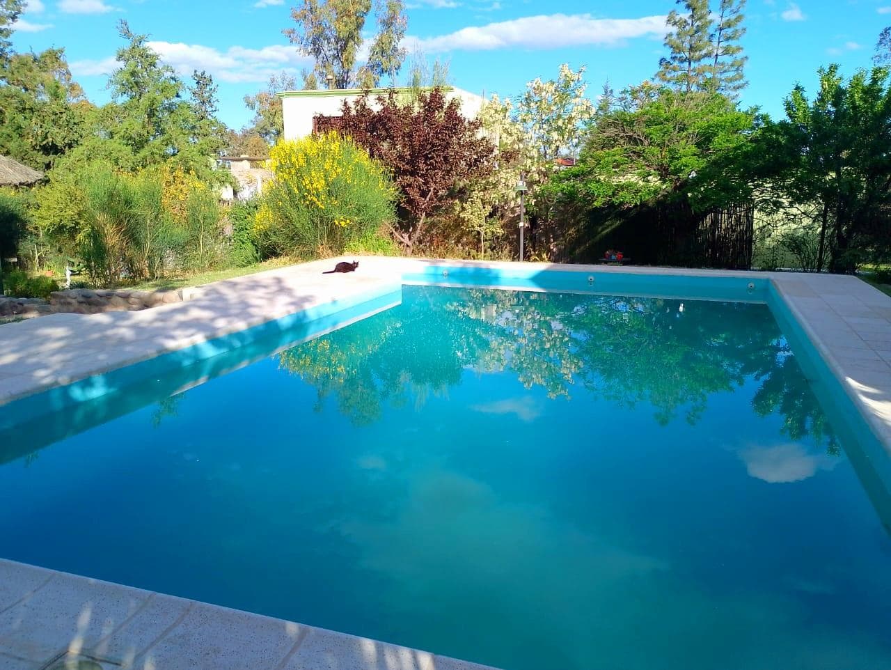 House with a Pool in Vistalba