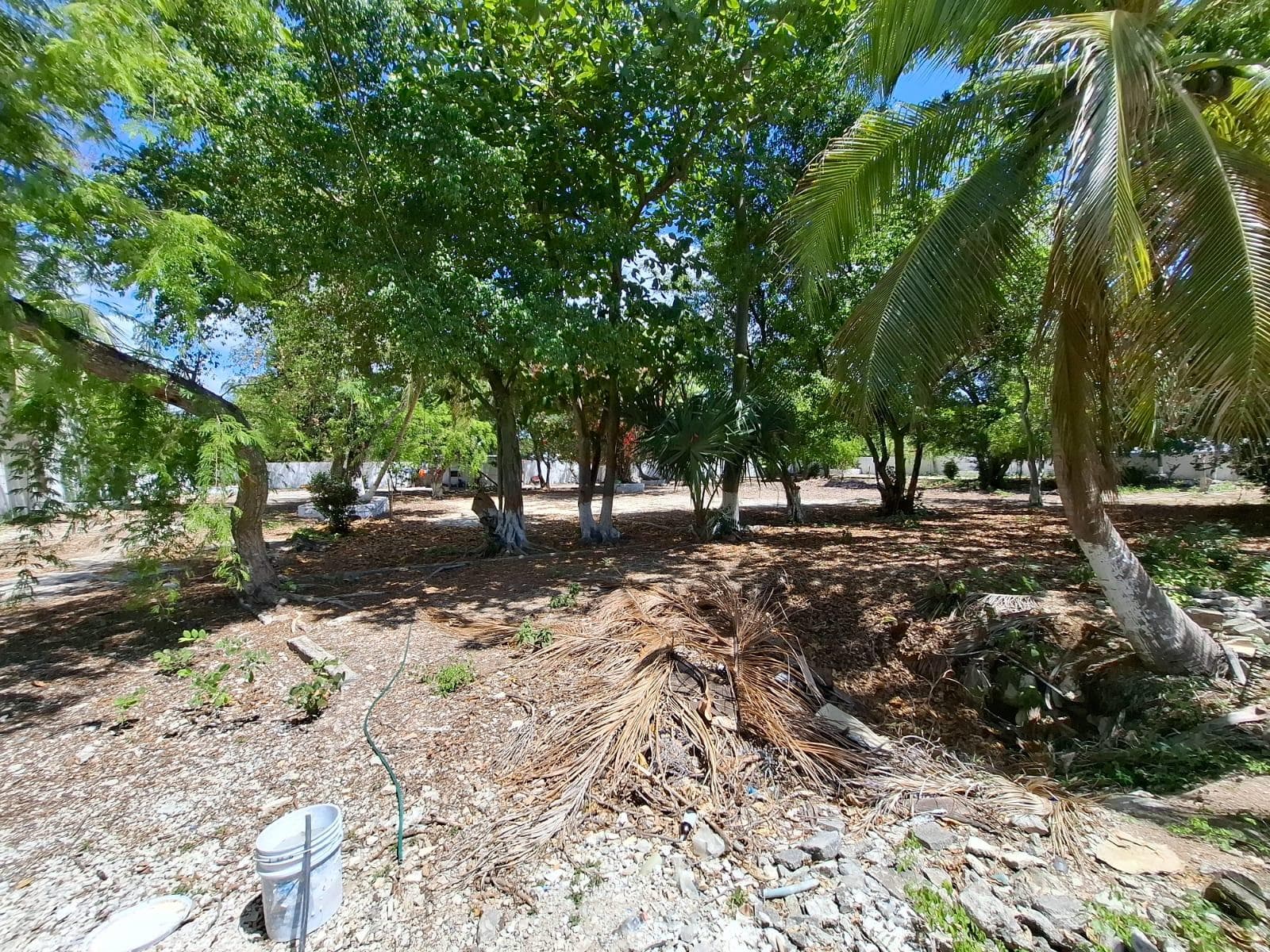 Mixed-use commercial lot on Calle 7 Sur in Playa del Carmen.