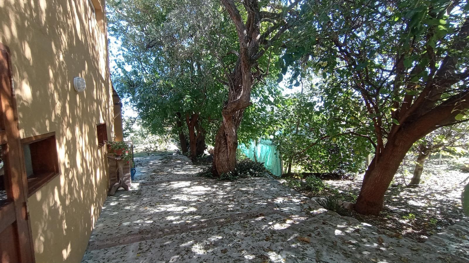 High-Altitude Ranch in Villa de Las Rosas | 2.5 Hectares | Nestled Between Mountains and Valleys
