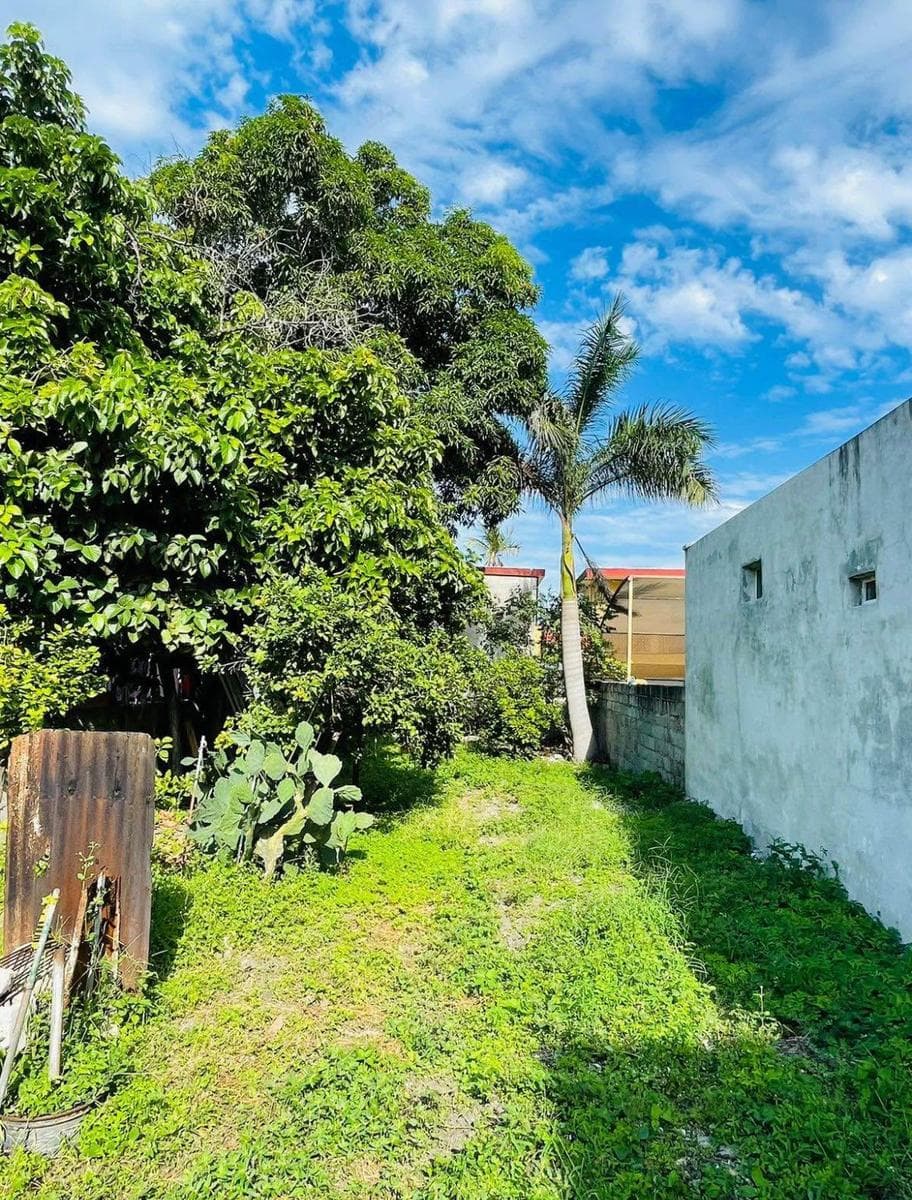 Land for Sale on Av. Hidalgo