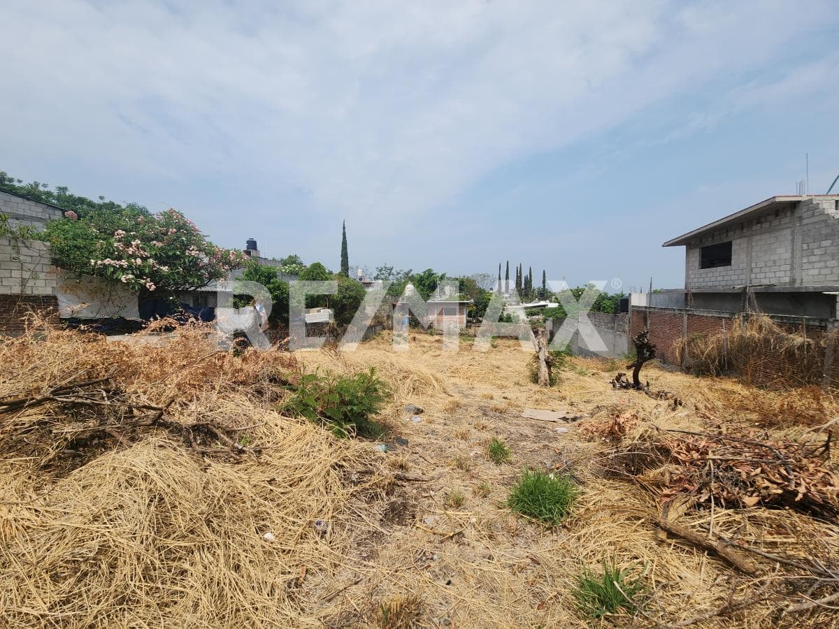 Land for Sale in Morelos, Juan Morales, Yecapixtla