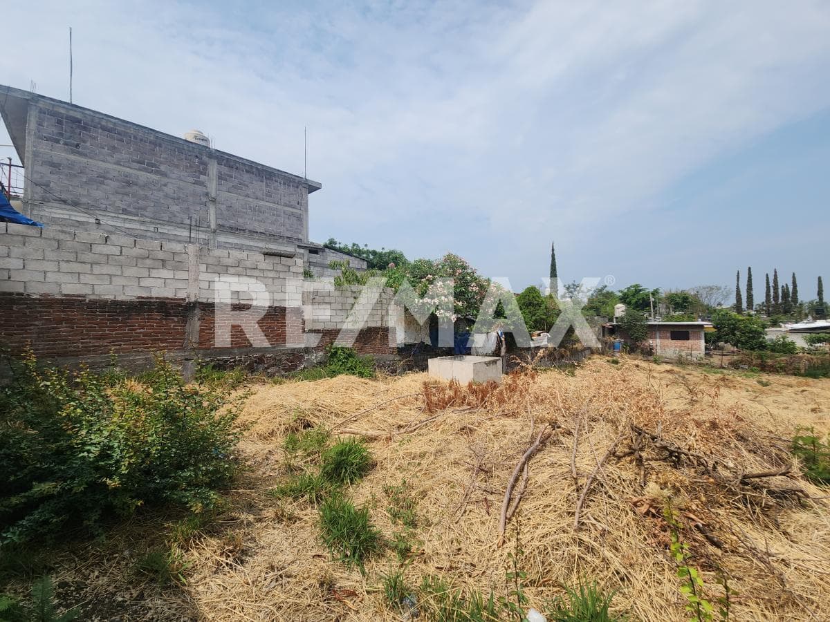 Land for Sale in Morelos, Juan Morales, Yecapixtla