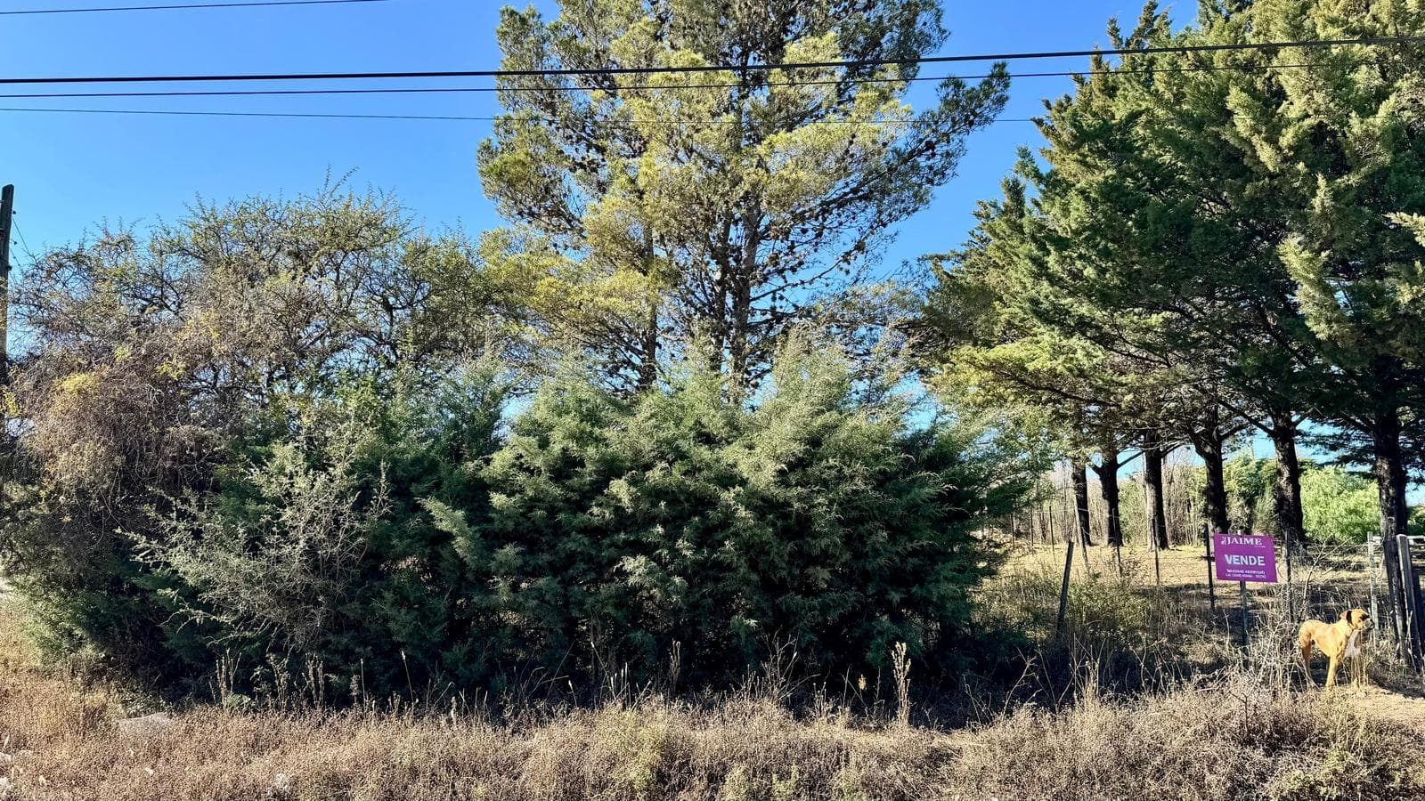 Land in Villa Giardino