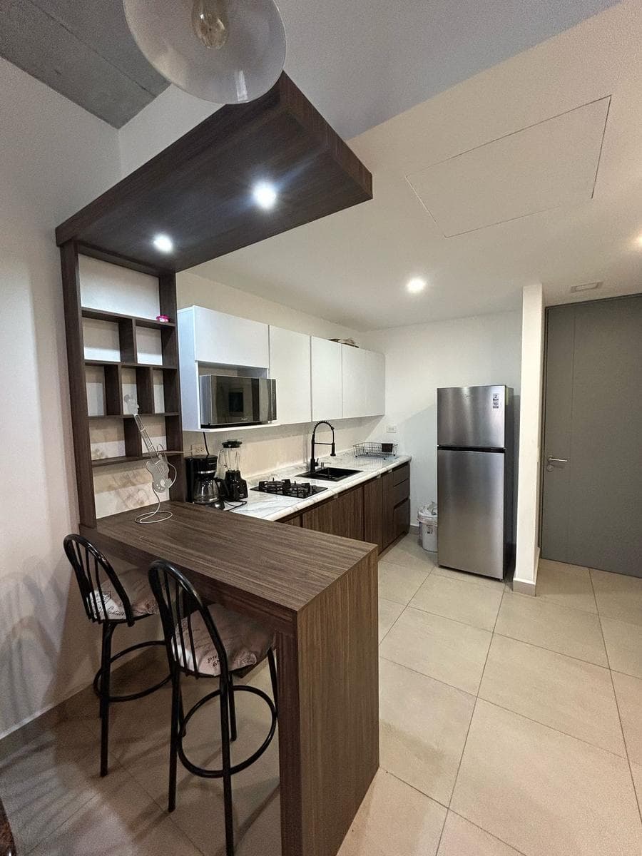 APARTMENT FOR RENT IN TORRE MITT