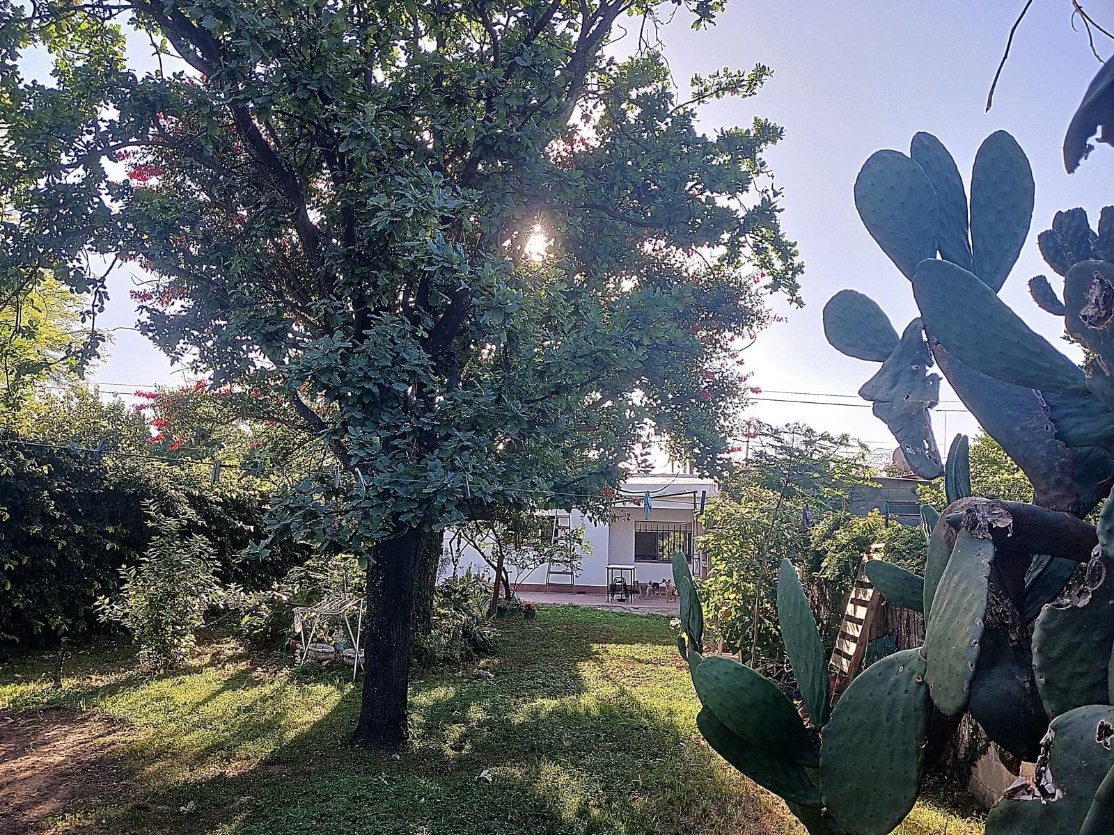 House in Cordoba Capital