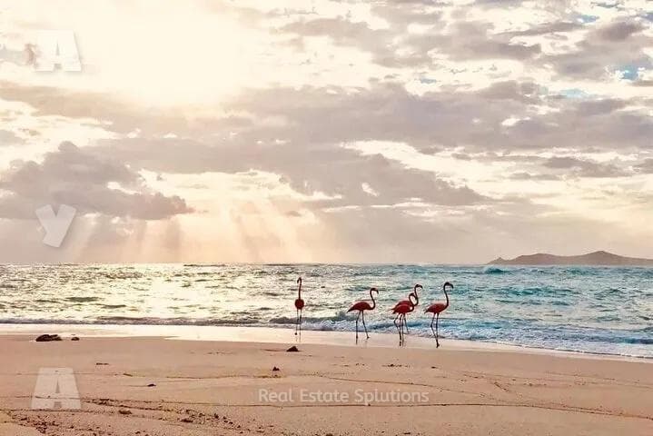 Beachfront Land for Sale, 1,385 m2, 10 ml of Beachfront, Sisal, Yucatán