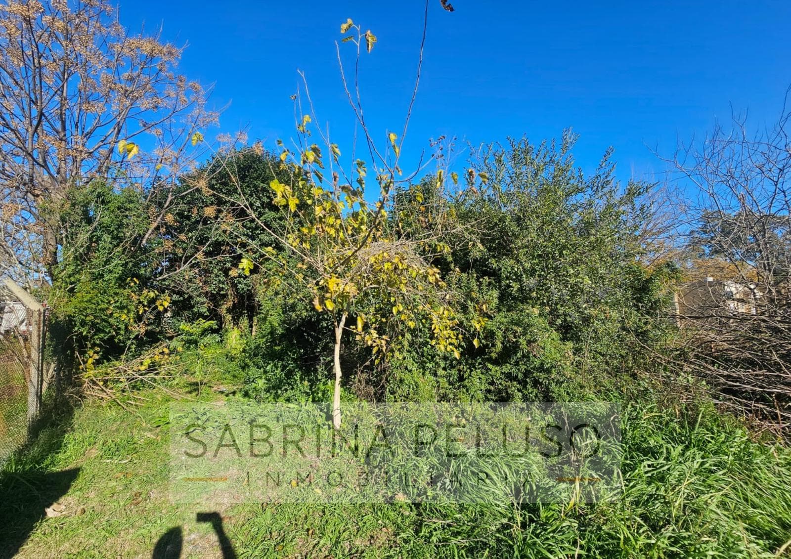 Land for Sale in Luján