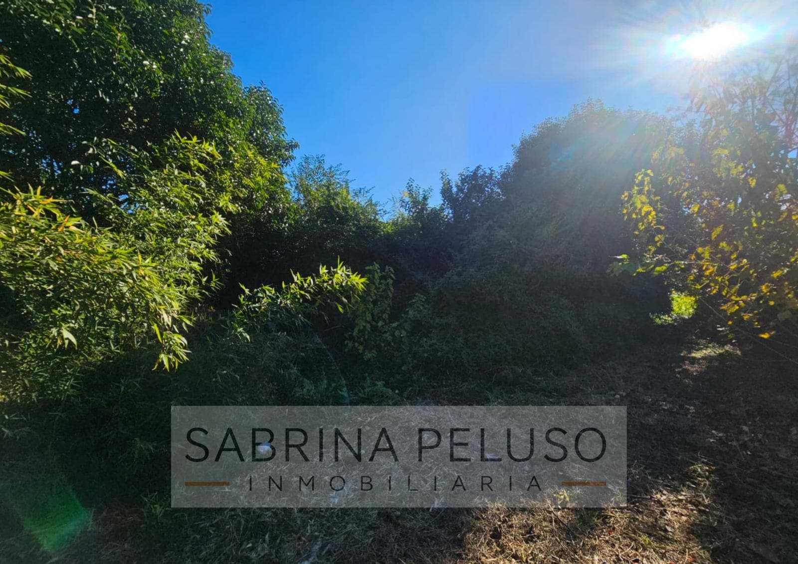 Land for Sale in Luján