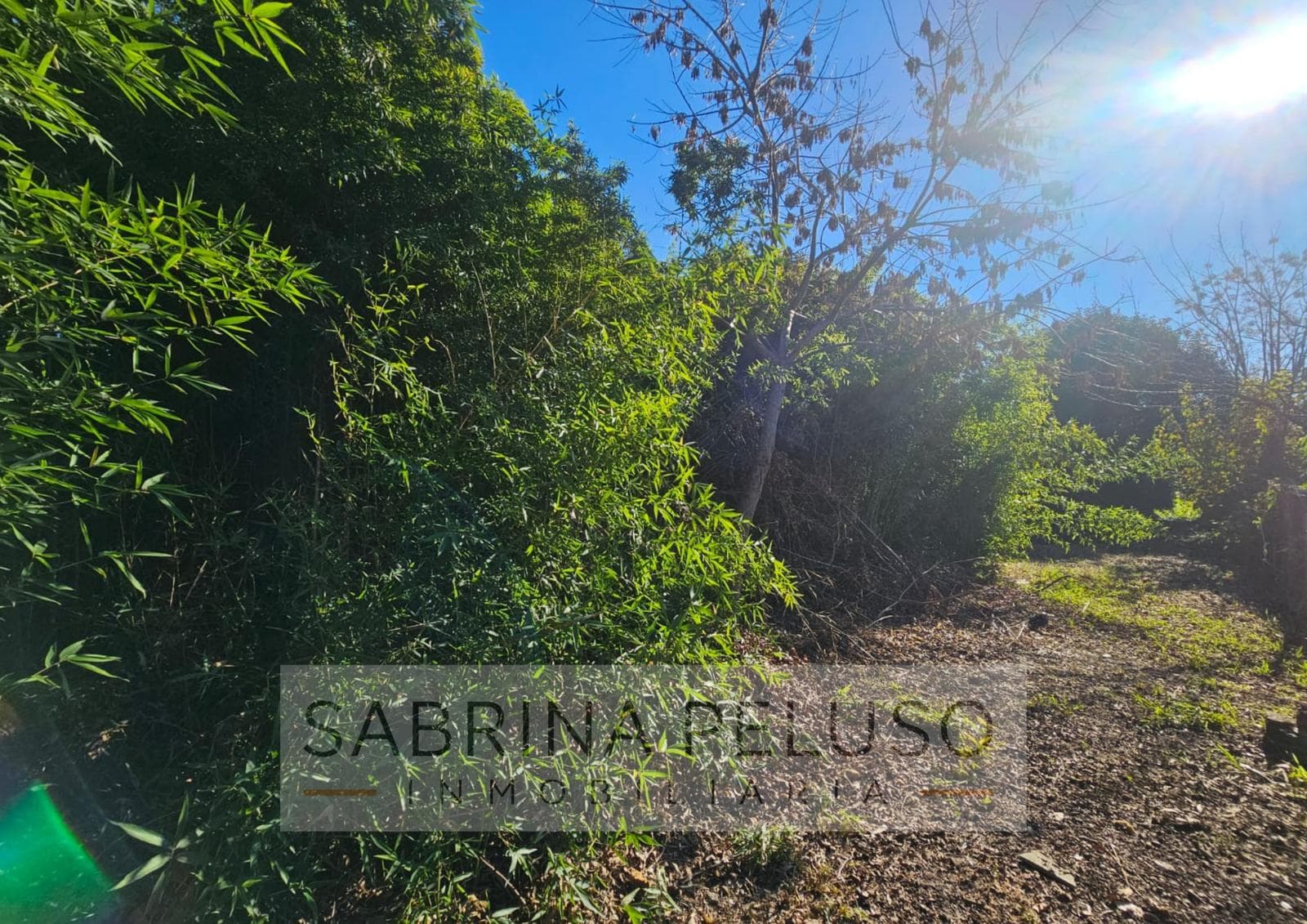 Land for Sale in Luján