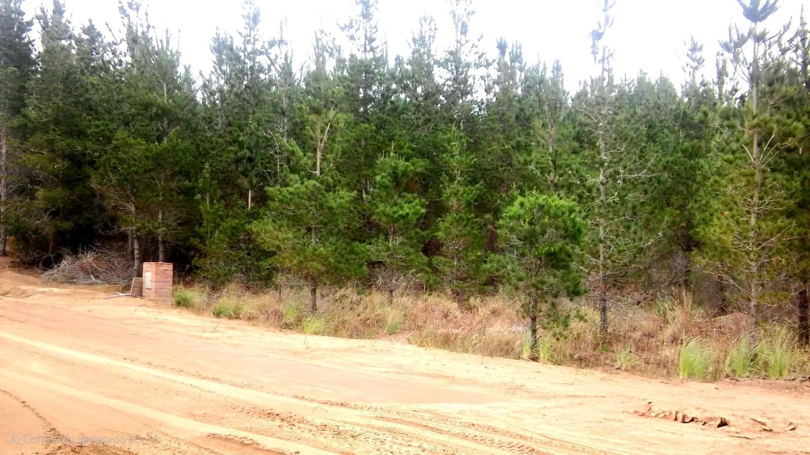 Land in Costa Esmeralda—Atlantic Coast