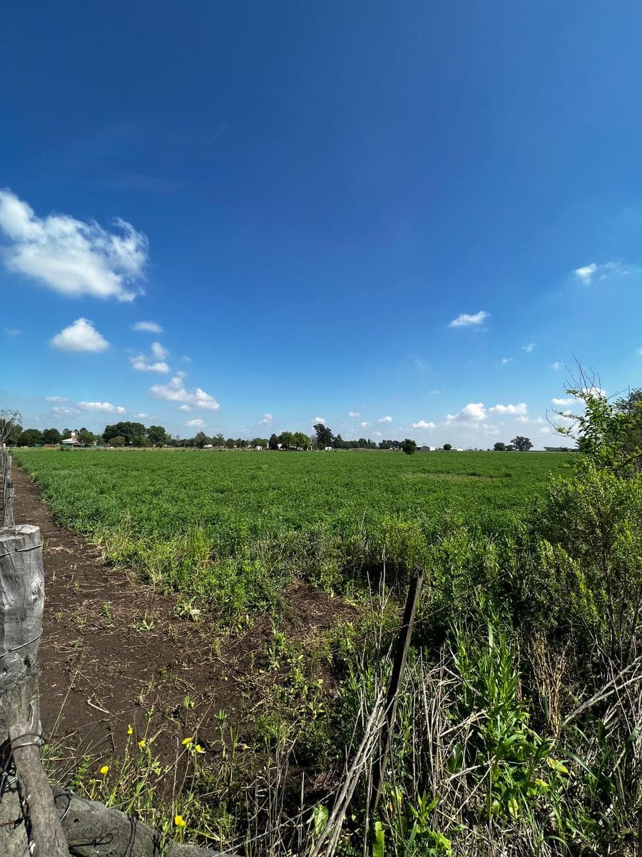 Land in Ibarlucea - Subdivision - Homes - Ideal open neighborhood