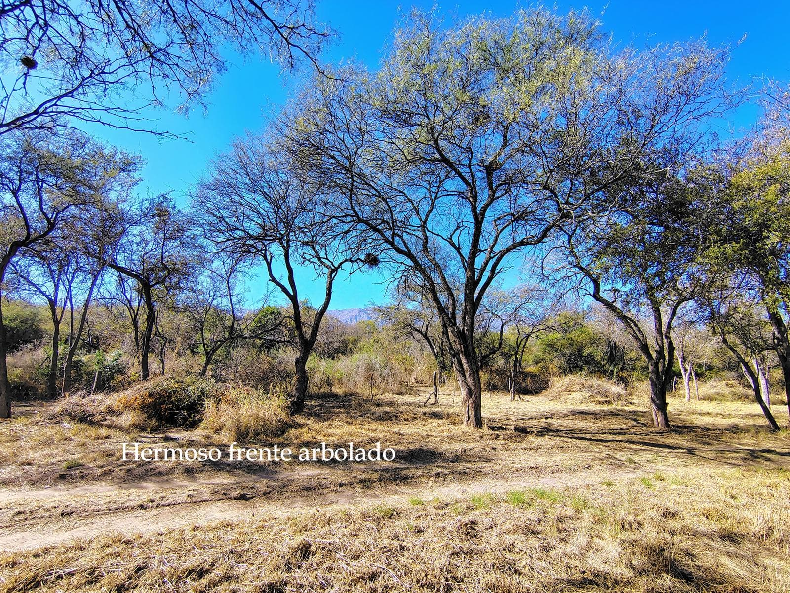 3,000 m² lot | Down payment of USD 8,000, balance to be agreed upon | Villa de Las Rosas