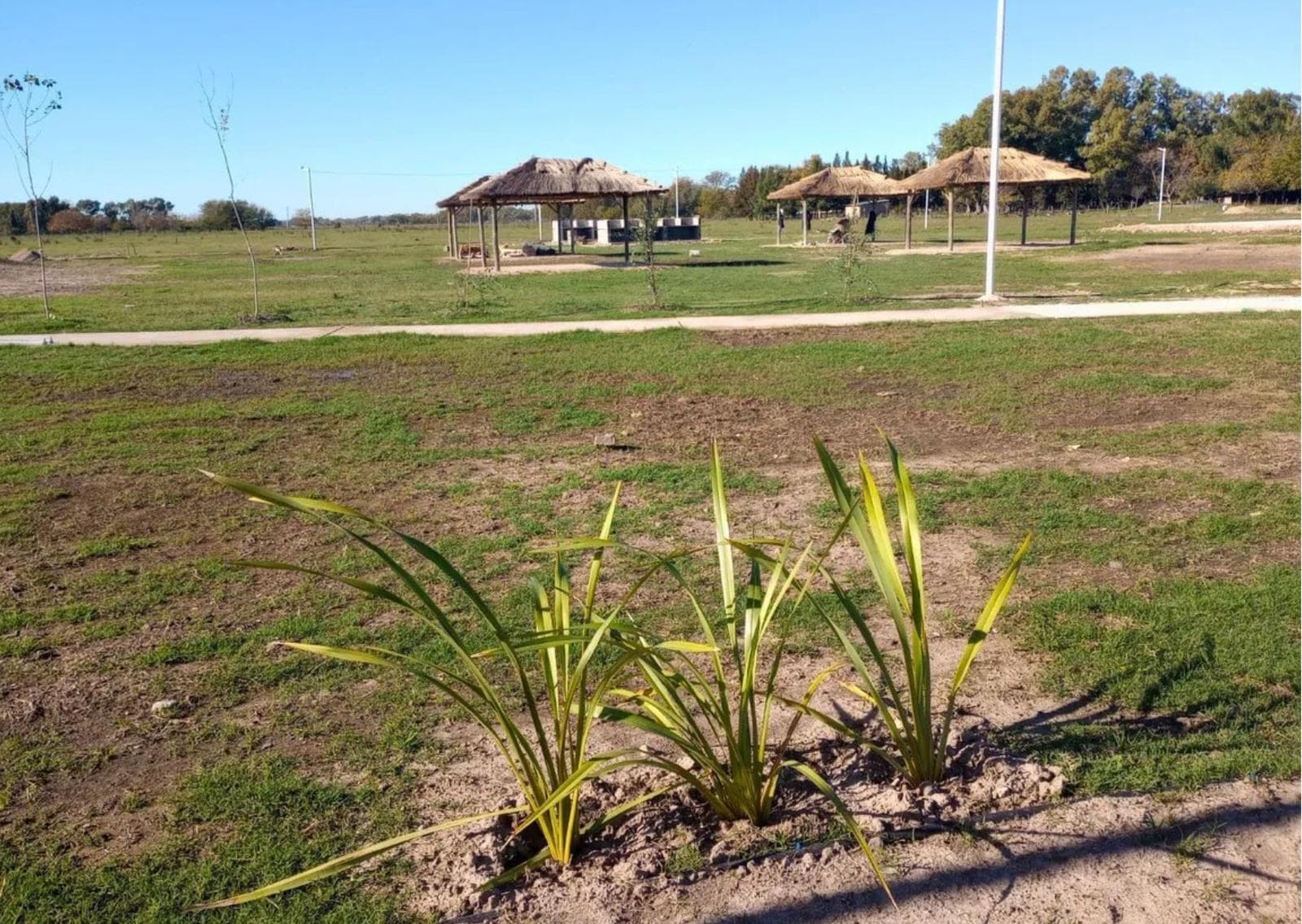 Land for Sale in Las Perdices