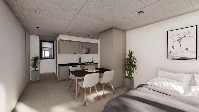 Brand-New One-Bedroom Apartment in the Guemes/Aldrey Area