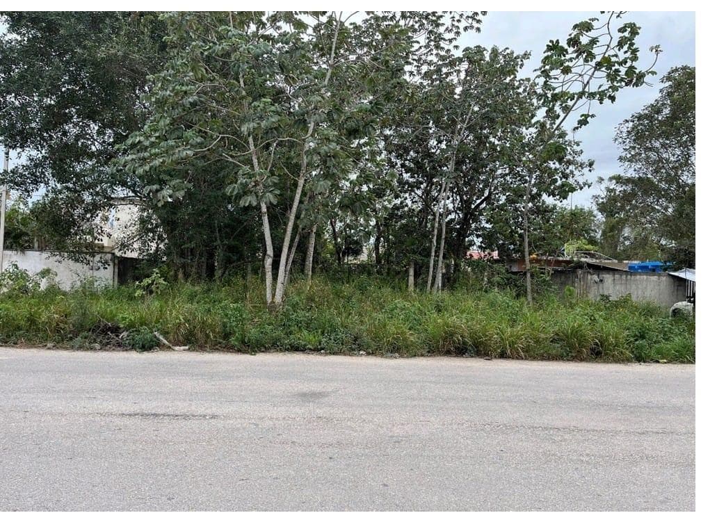 Land for Sale, 529.6 m2, Mixed-Use Zoning, Tumben Kah, Tulum, Quintana Roo