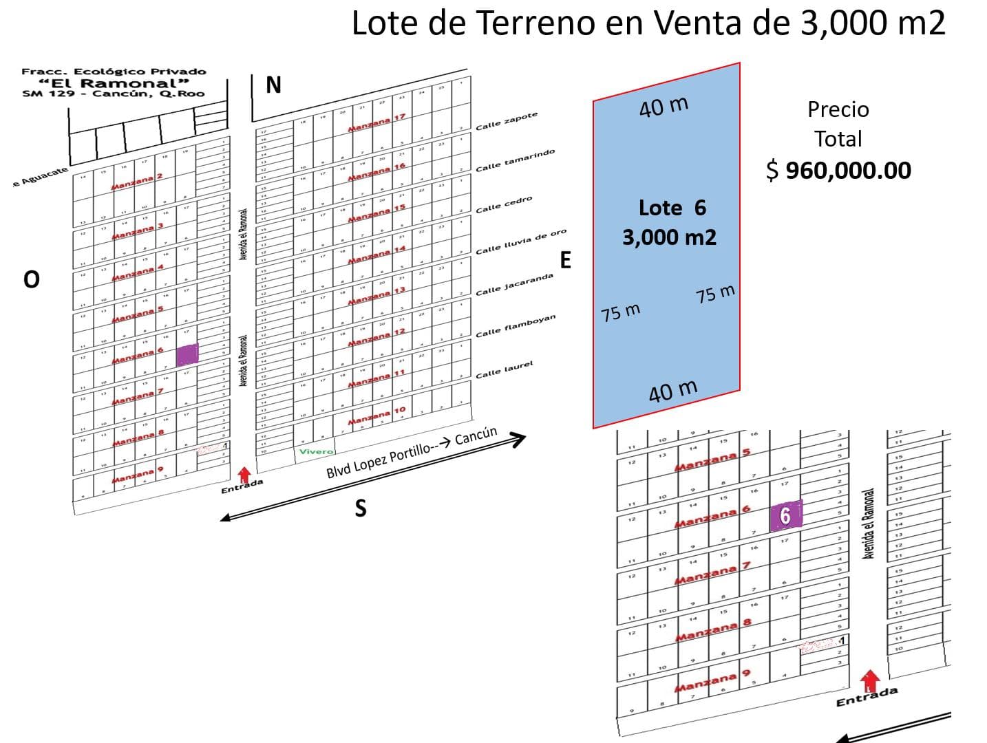 Organic Land for Sale, 3,000 m2, El Ramonal, Cancún-Mérida Highway