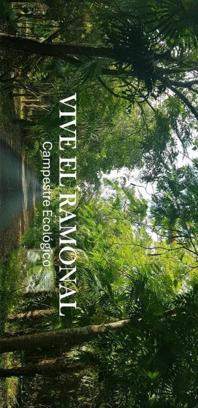 Organic Land for Sale, 3,000 m2, El Ramonal, Cancún-Mérida Highway