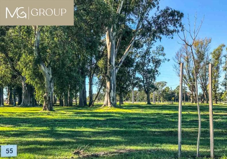 Land / Lot for Sale in Fincas Joven