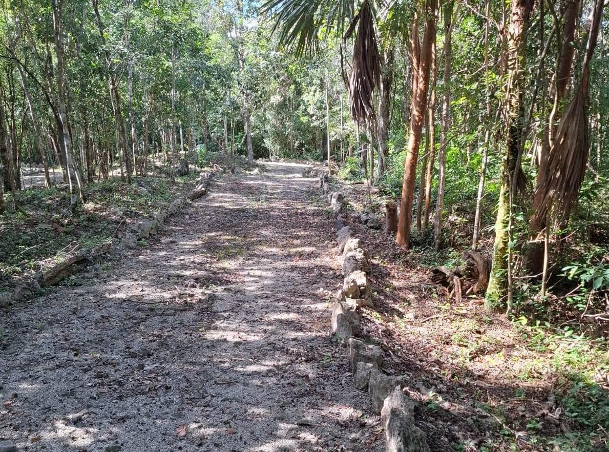 LAND FOR SALE: 320 M2, AVAILABLE IMMEDIATELY IN PLAYA DEL CARMEN