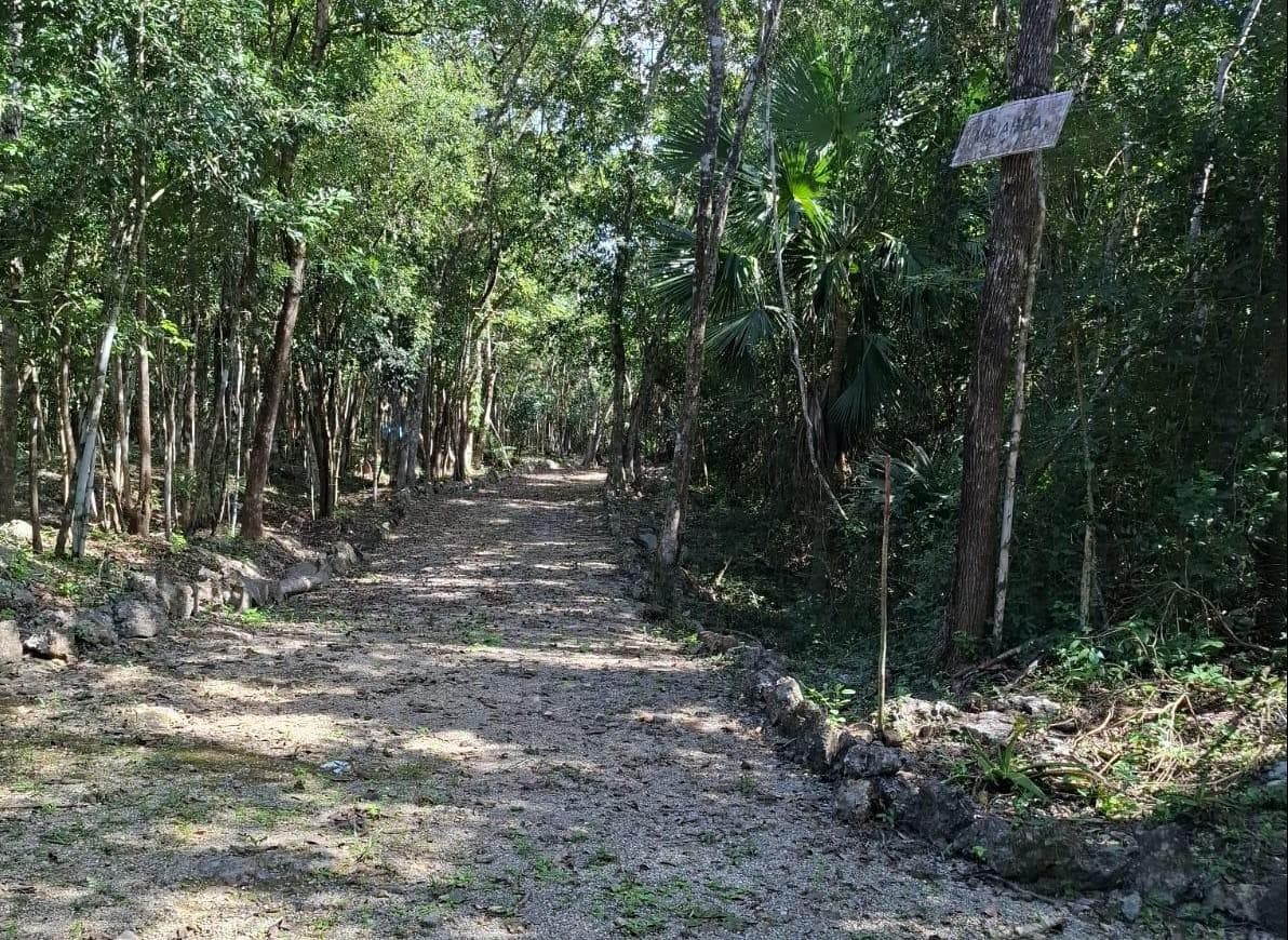 LAND FOR SALE: 320 M2, AVAILABLE IMMEDIATELY IN PLAYA DEL CARMEN
