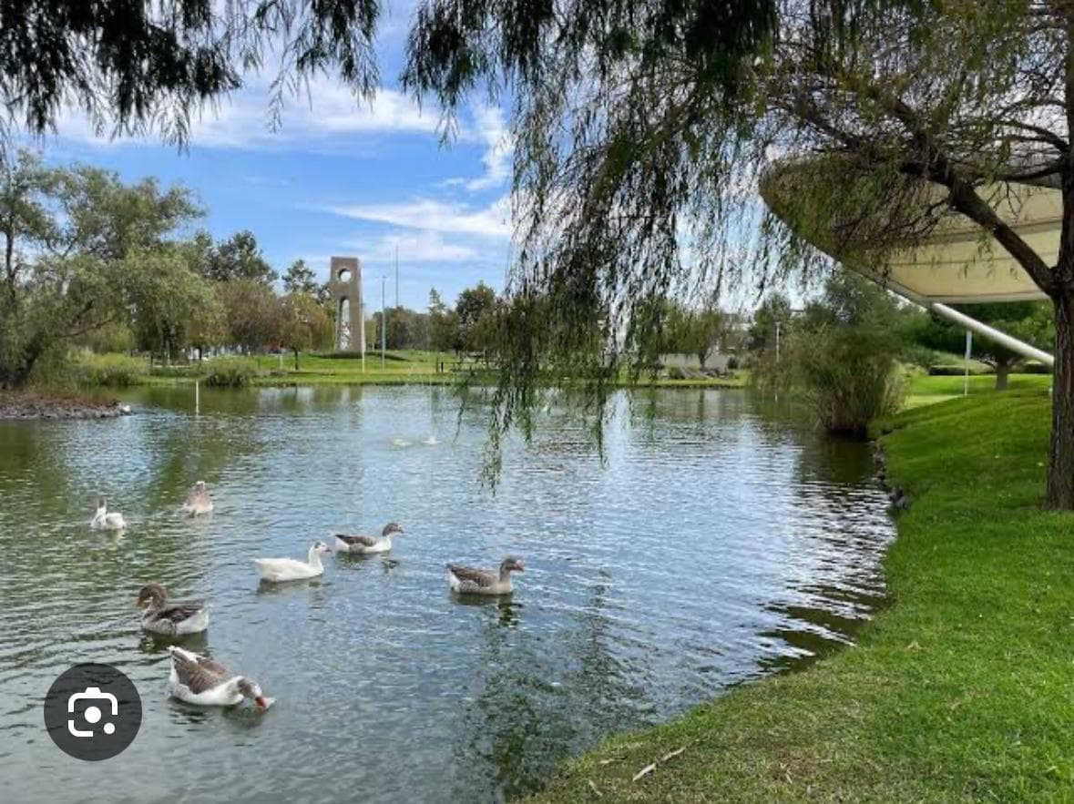 LAND IN EL CAMPESTRE