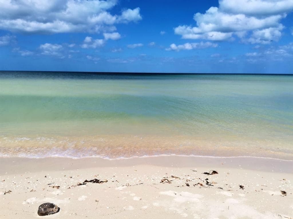 Land for sale in San Benito
