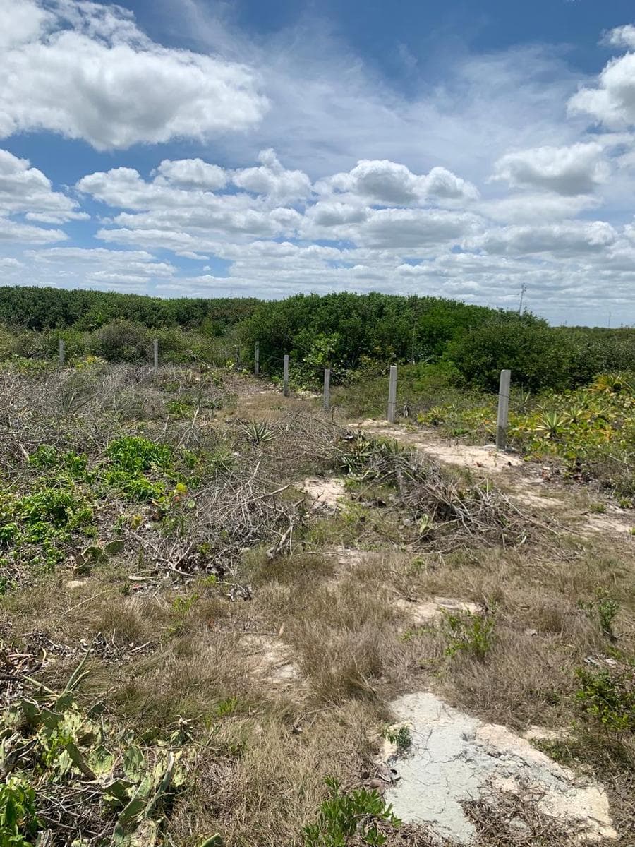 Land for sale in San Benito