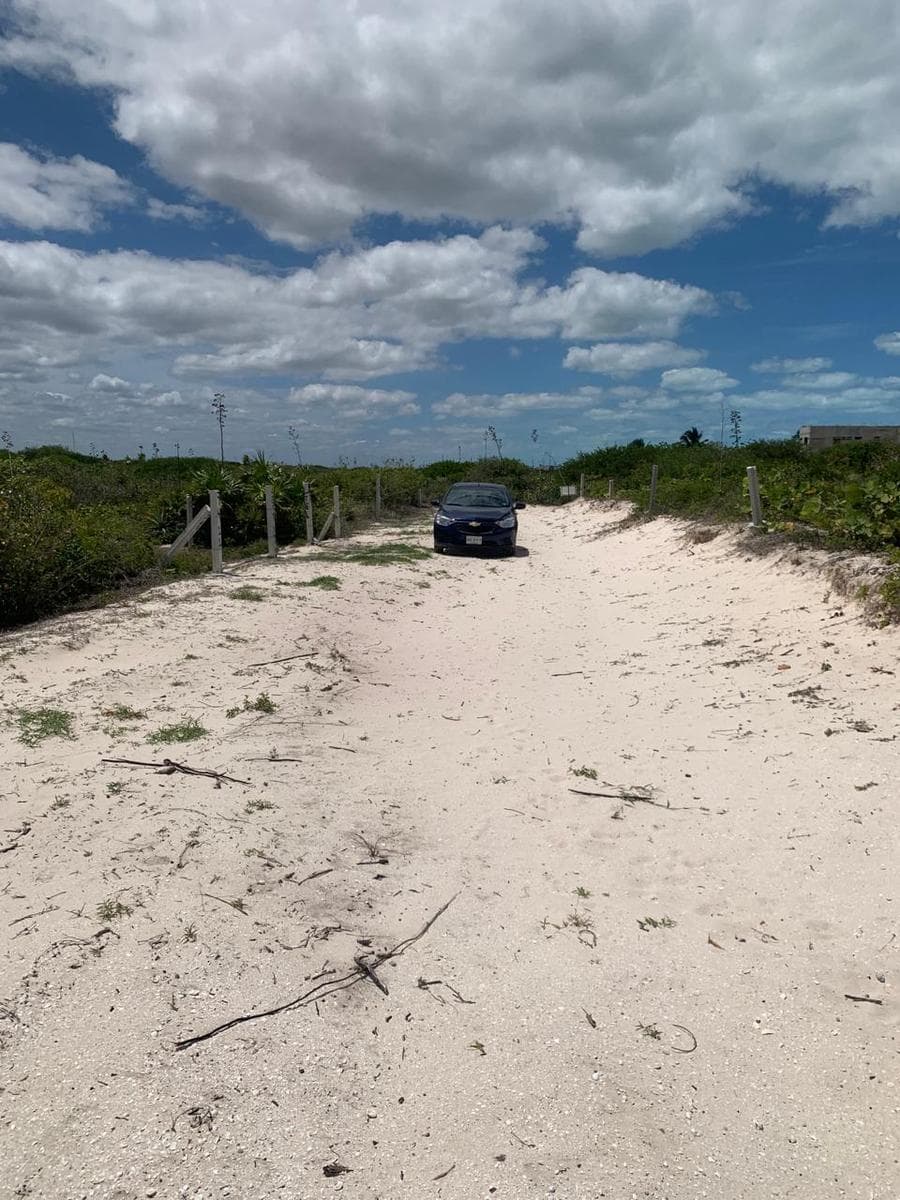 Land for sale in San Benito