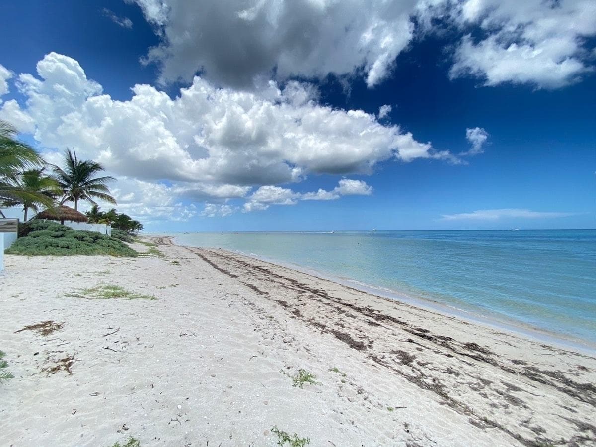 Land for sale in San Benito