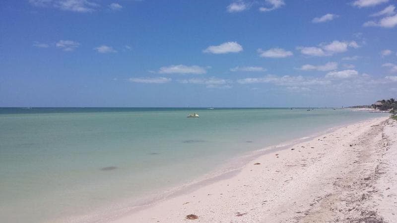 Land for sale in San Benito
