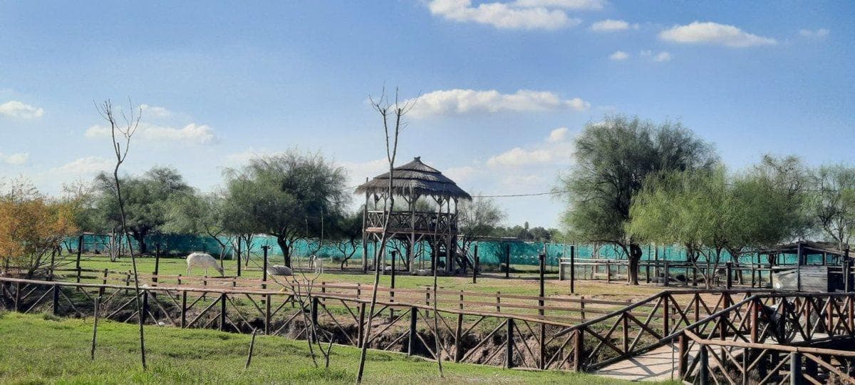 LAND FOR SALE IN FINCAS DON EUGENIO 2 - GENERAL RODRIGUEZ