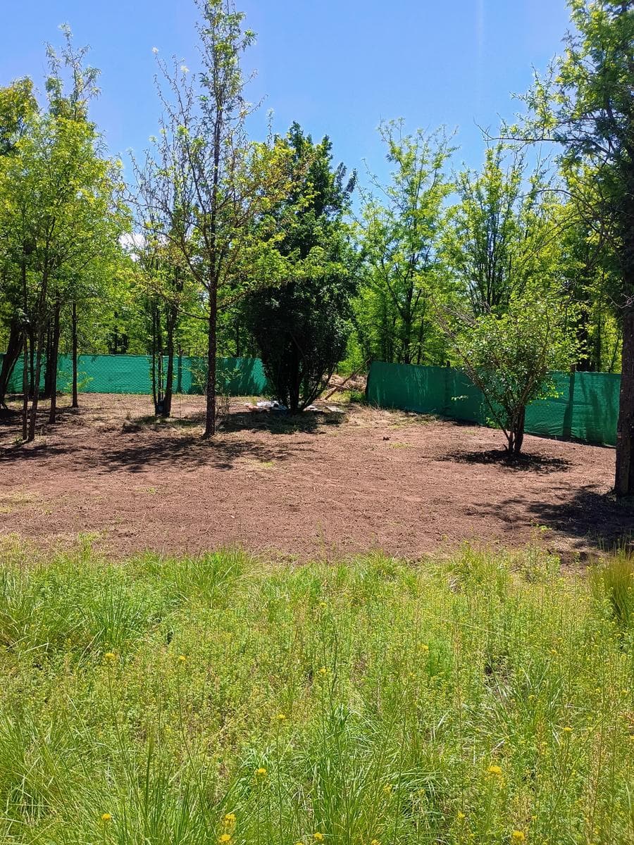 2-Bedroom House | Steel Frame | Las Rabonas | 980 m²
