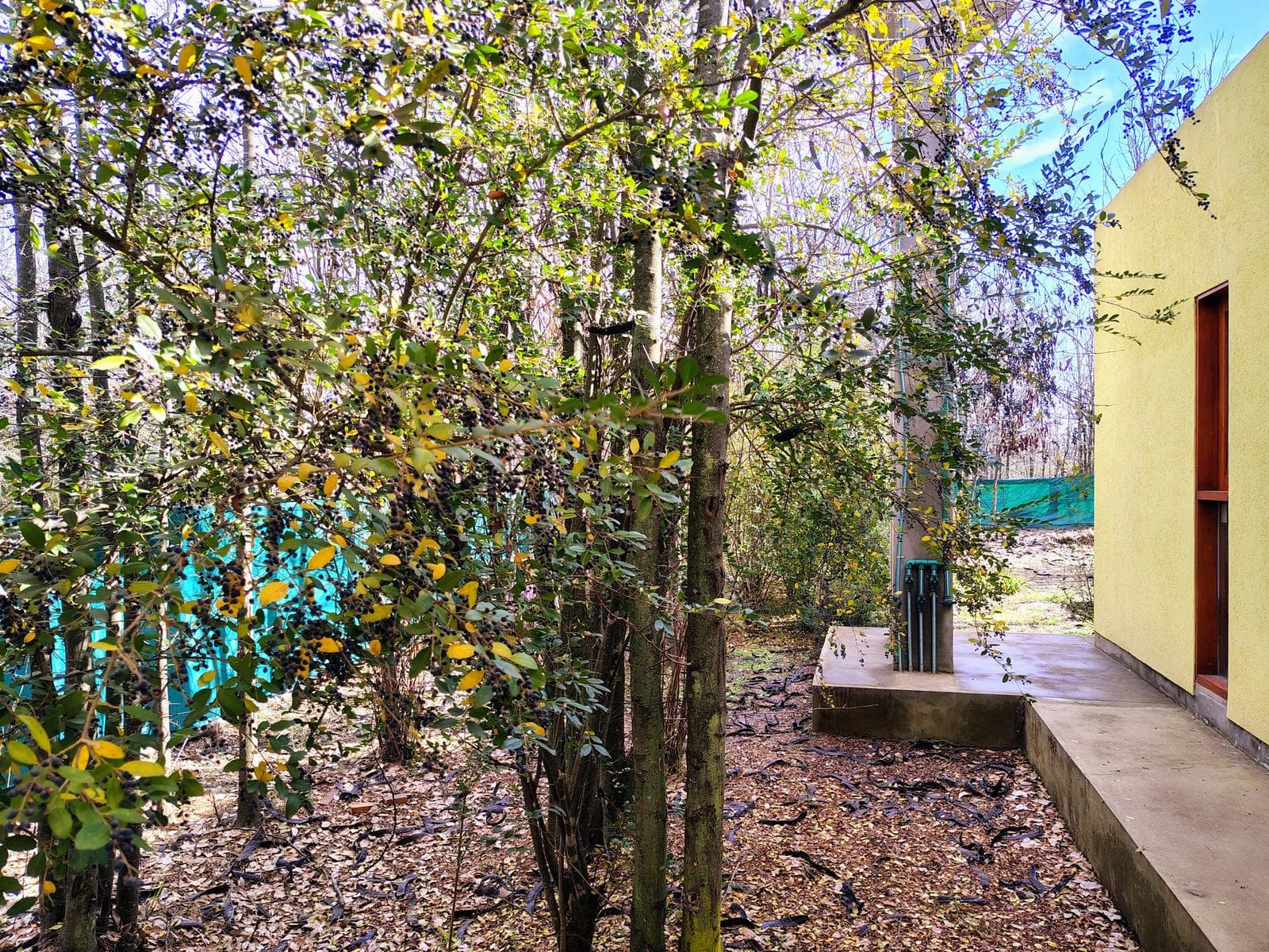 2-Bedroom House | Steel Frame | Las Rabonas | 980 m²
