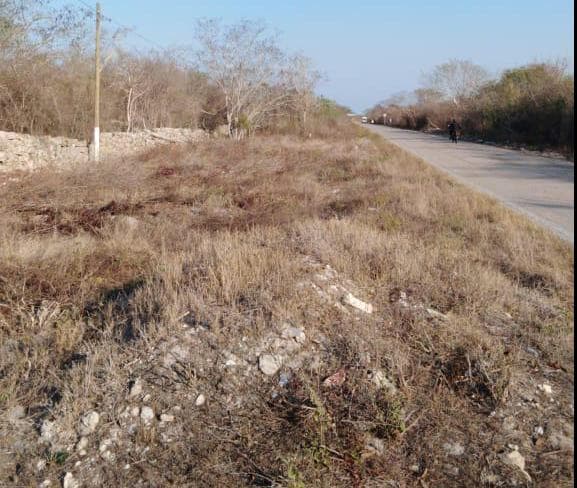 40 hectares along the Hunucma–Sisal Highway