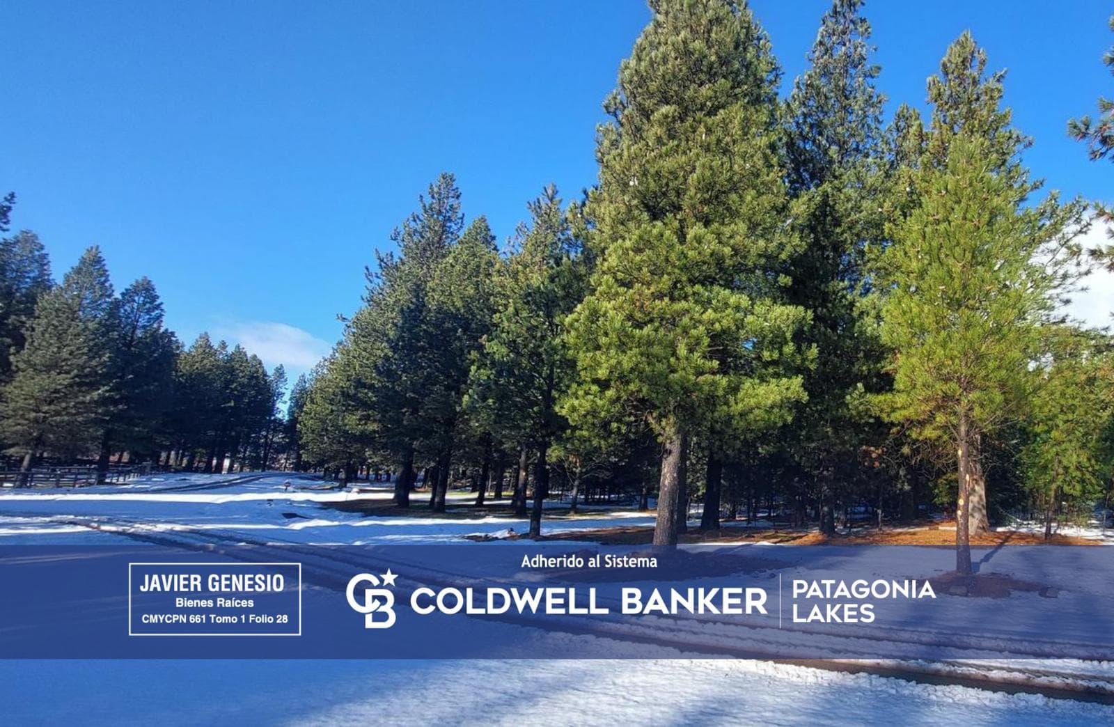 FOR SALE: Lot | 4,328 m² of land near the GOLF C05 course in the El Desafío neighborhood of San Martín de los Andes