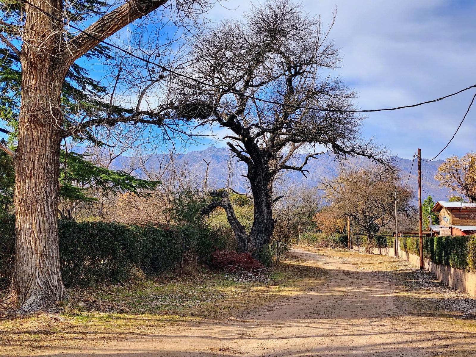 2-Bedroom House | Steel Frame | Las Rabonas | 980 m²