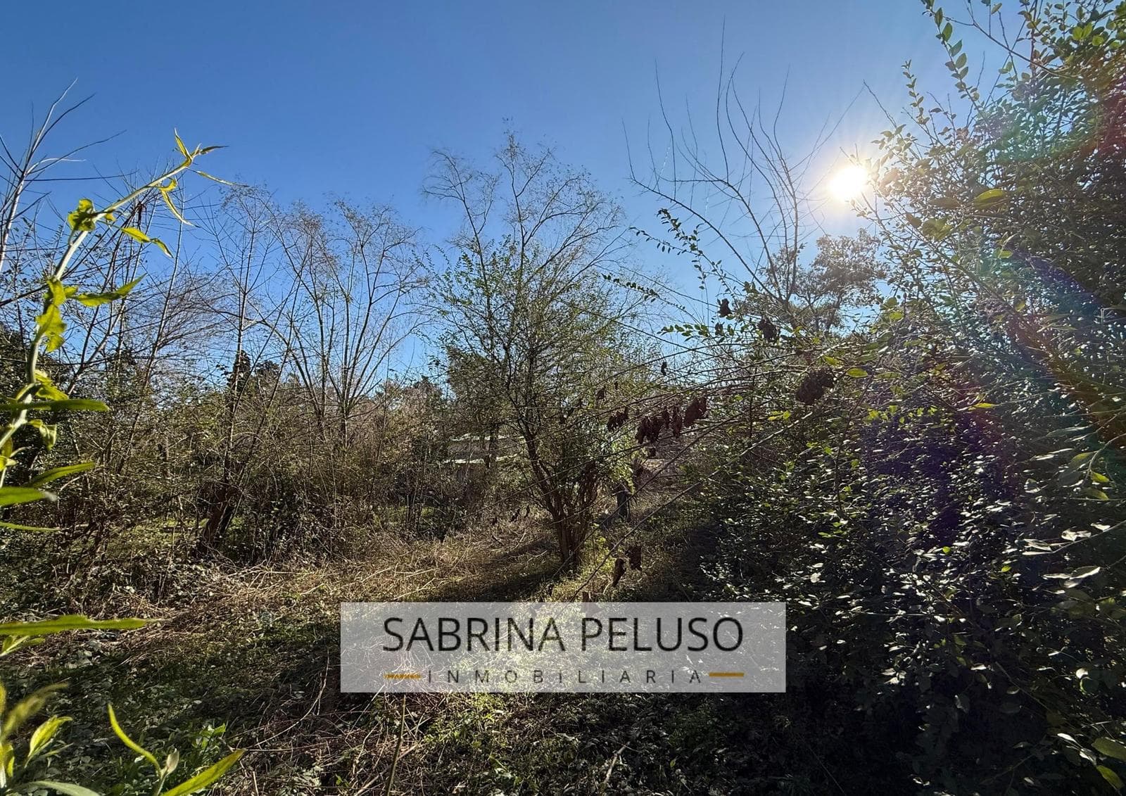 Land for Sale in Francisco Alvarez