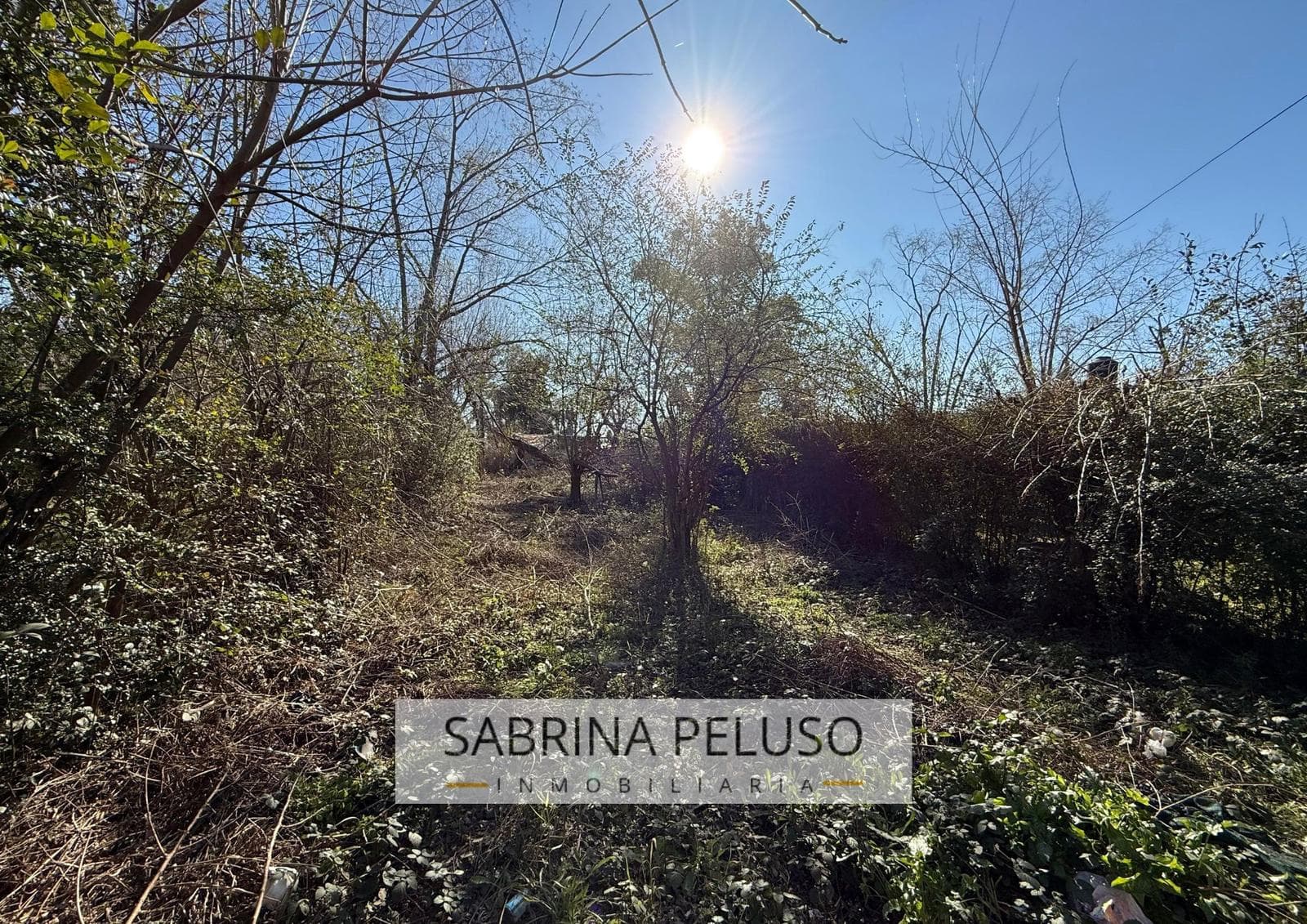 Land for Sale in Francisco Alvarez