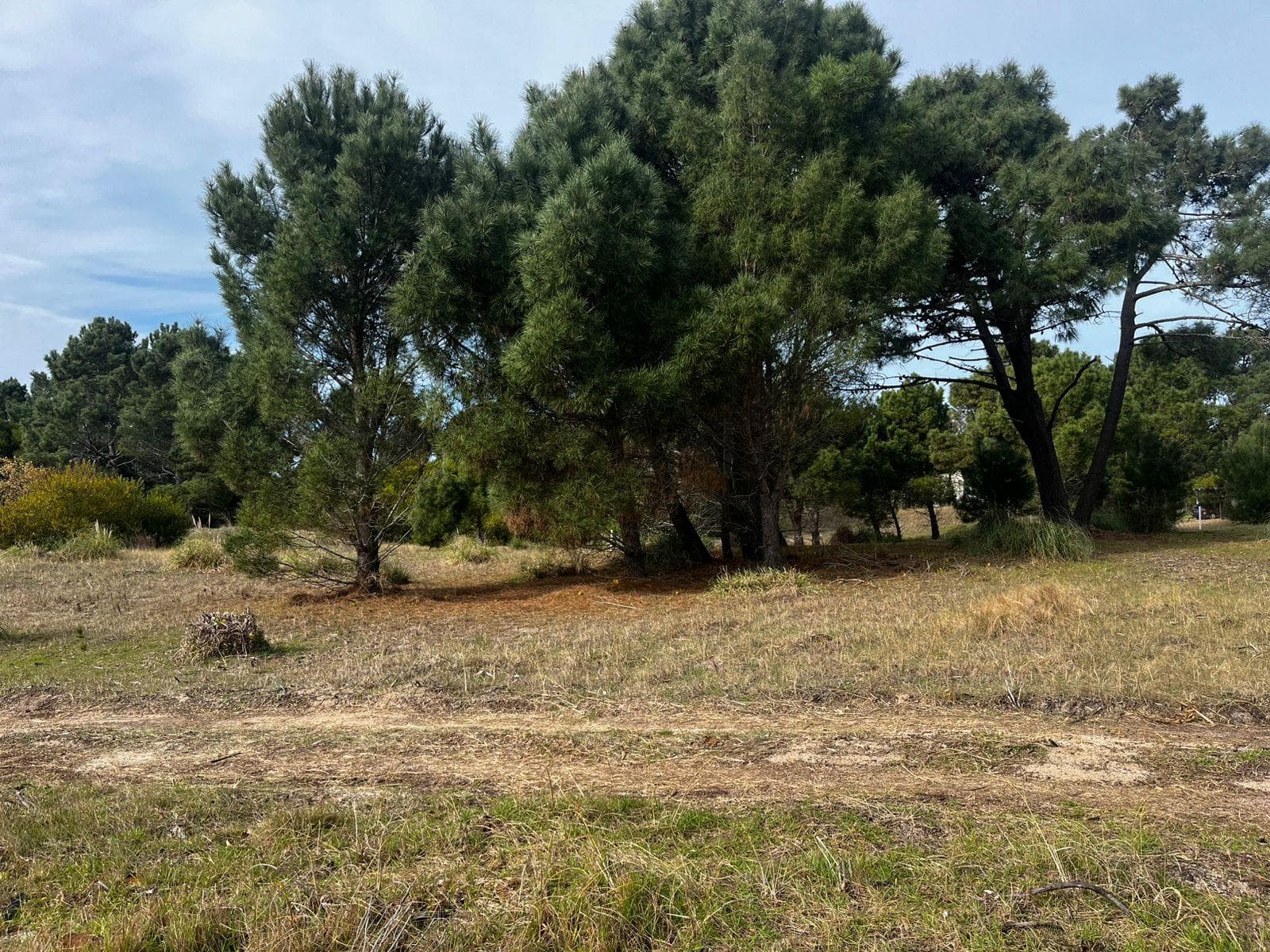 Excellent lots suitable for 1 or 2 homes in Las Gaviotas