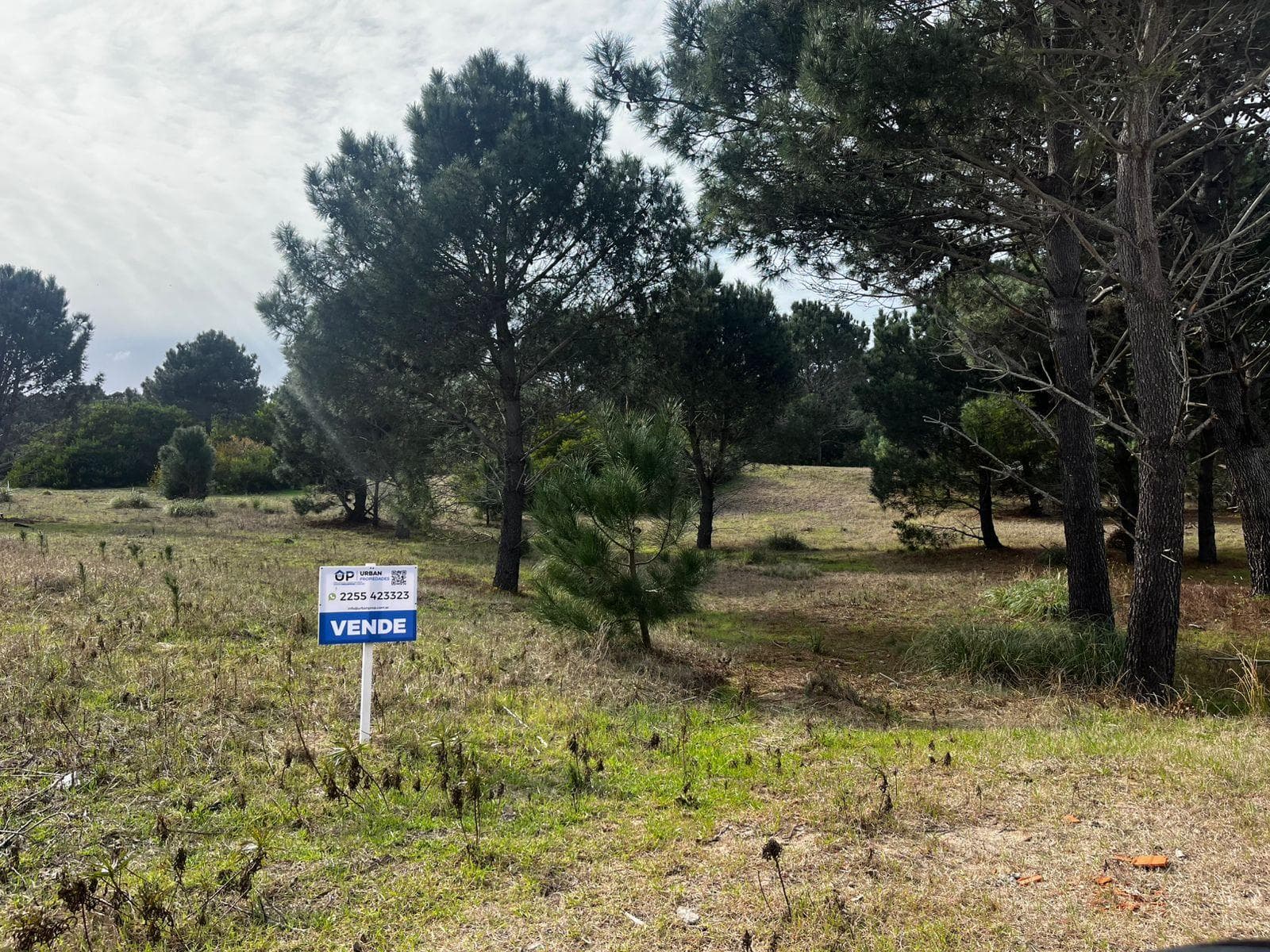 Excellent lots suitable for 1 or 2 homes in Las Gaviotas
