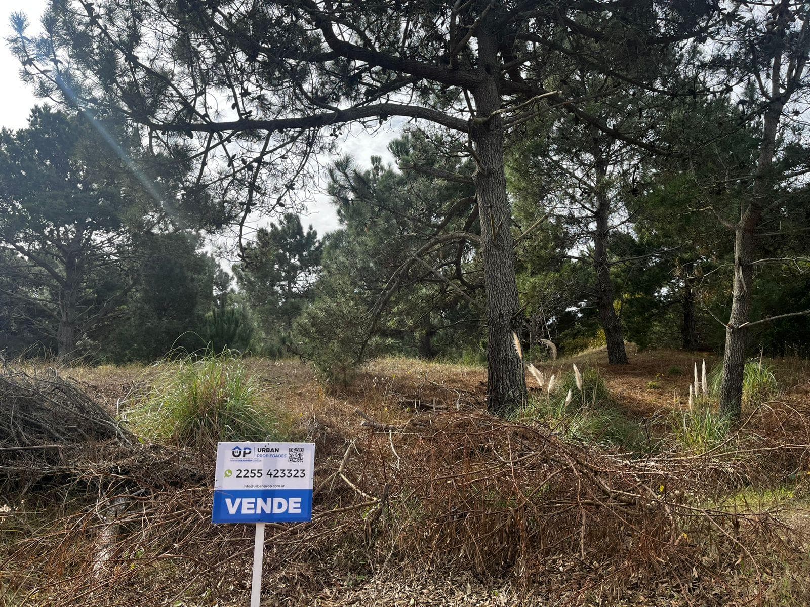 Excellent lots suitable for 1 or 2 homes in Las Gaviotas