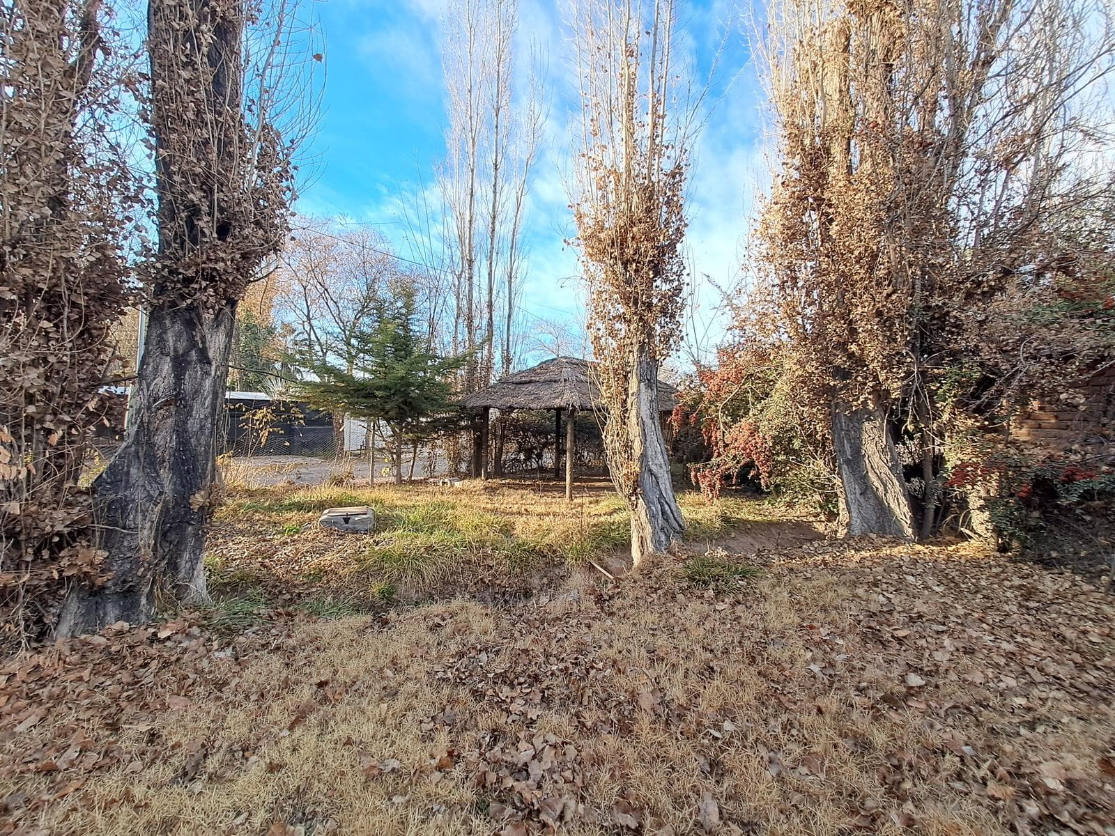 Land for Sale - CHACRAS DE CORIA