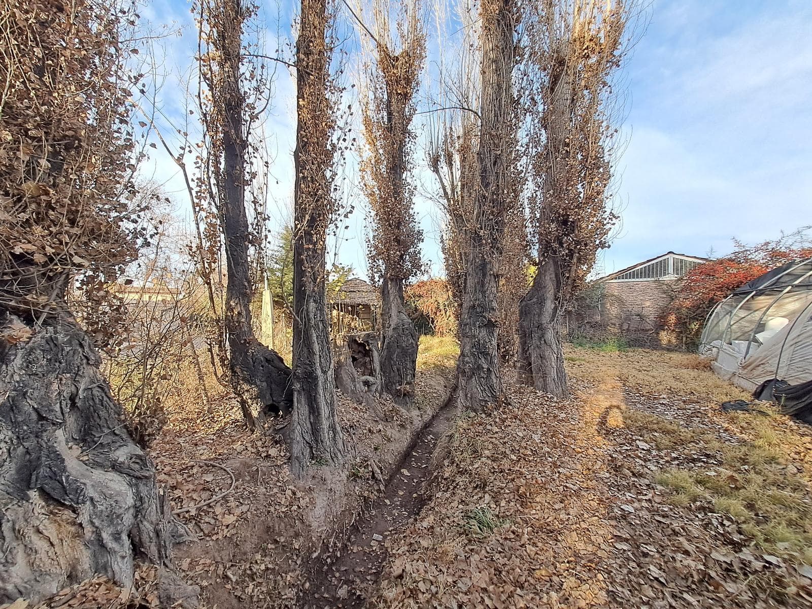 Land for Sale - CHACRAS DE CORIA
