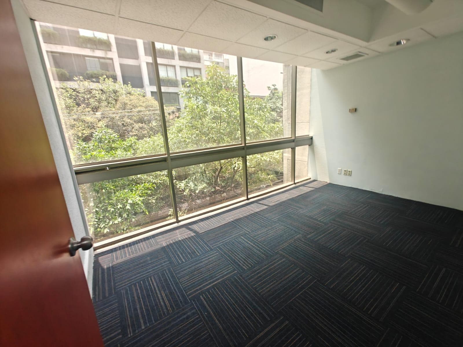 Office for Rent in Polanco
