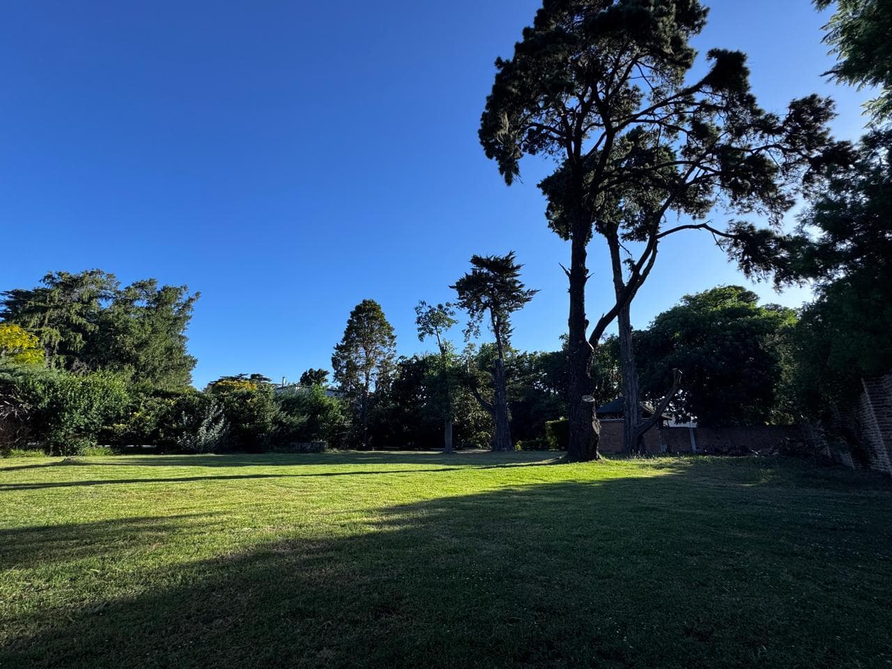 Lot in the Villa Bertha neighborhood with excellent access from the Pan-American Highway