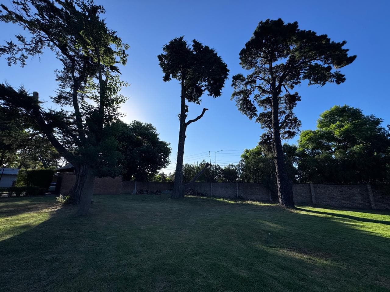 Lot in the Villa Bertha neighborhood with excellent access from the Pan-American Highway